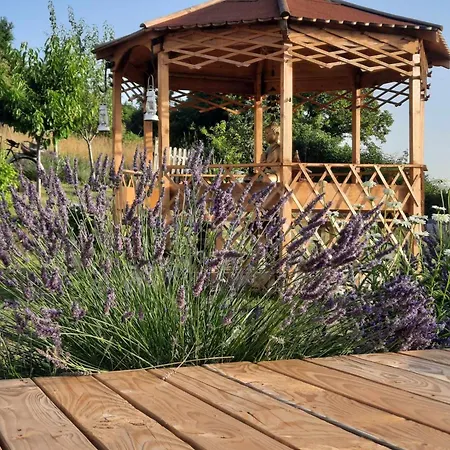 L'enchanteur * Saint-Jurs