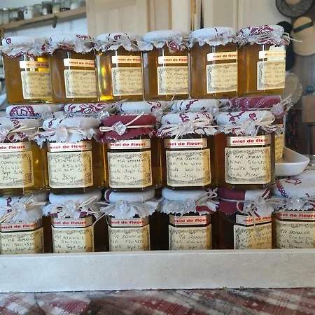 L'enchanteur Hébergement de vacances *