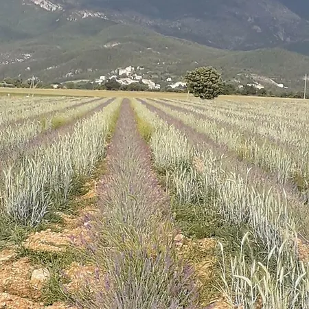 Hébergement de vacances L'enchanteur *